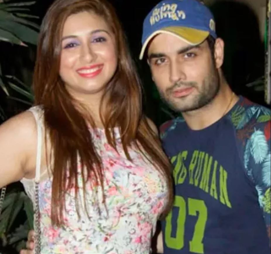 Vivian Dsena First Wife